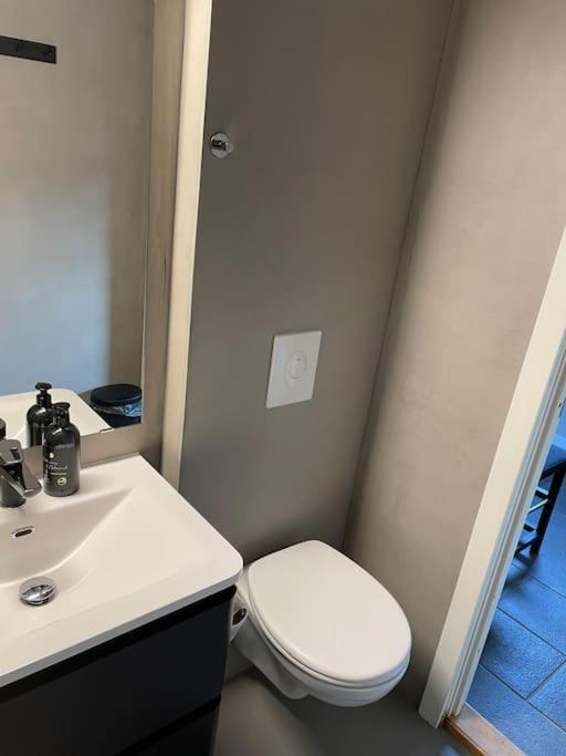 Apartment Practical Near Center